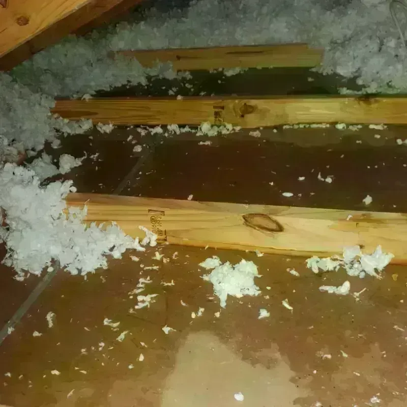 Attic Water Damage in Arcadia, CA