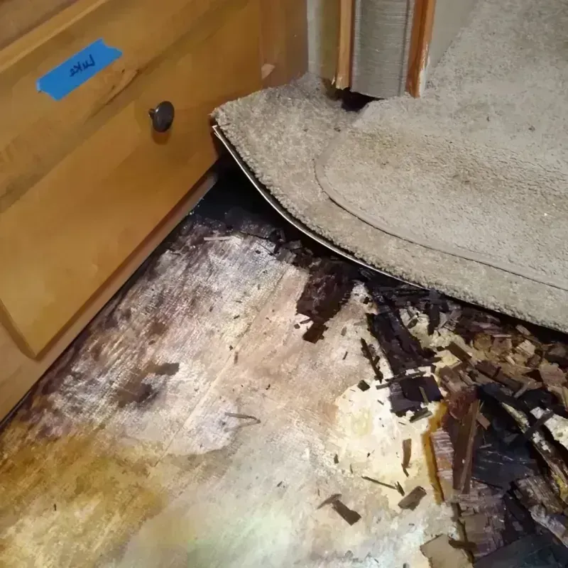 Wood Floor Water Damage in Arcadia, CA